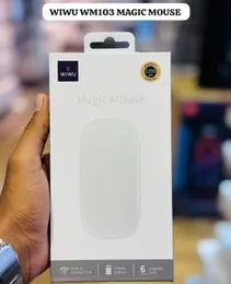 WIWU WM103 Magic Mouse – Wireless Ergonomic Rechargeable Mouse with USB-C