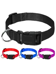 Dog belt heavy duty product dog neck belt safety plastic lock