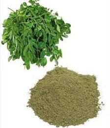 VS Products Avuri leaf powder l Indigo Leaf Powder,550g