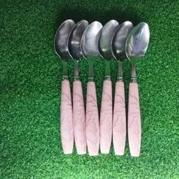 Ceramic Finish Style Stainless Steel Premium Table Spoon Set of 6 Pieces.