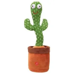 Dancing Cactus