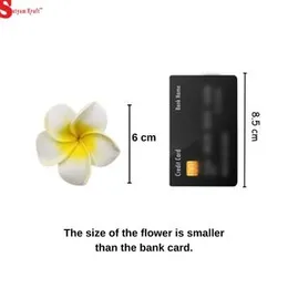 SATYAM KRAFT 12 Pcs Artificial Big Fake Foam Hawaii Beach Water Floating Flowers, Plumeria Flower, Home, Pooja Room,DIY Craft Christmas Newyear Decor