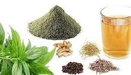 Neotea Nilavembu Kudineer | Green Chirata Kirayta Andographis paniculata Powder | Kirayta Andographis paniculata | 200 GM Pack of 1