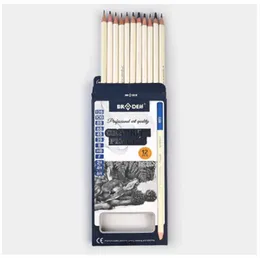 12 Set of Professional Drawing Art Sketch Graphite Pencils Pack - 12B, 10B, 8B, 6B, 4B, 2B, B, HB, F, 2H, 4H, 6H Pencils