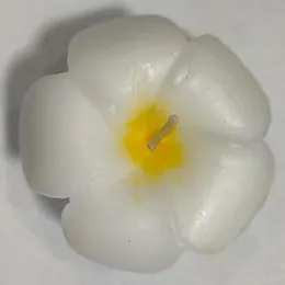 Araliya Flower Candle Floating Candle 3 Inch Fragrance Candle scented candle