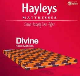 Hayleys Foam Mettress72x48x4