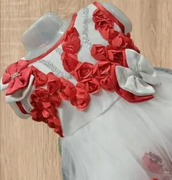 White And Red Net Made Midi/knee Length Sleeveless Frock