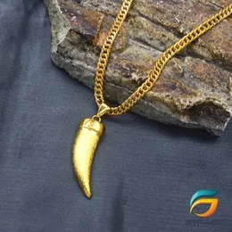Gold Plated Albert Chain & Lion Teeth Pendant Guaranteed 20 inch for Men.