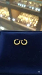 Fashion Simple Gold Plated Earrings for Women and Girls minimalist Ear jewelry