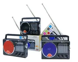 FP 819 Bluetooth Speaker with 10-Band AM FM SW1-8 Radio | AC 220V