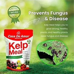 Casa De Amor Kelp Water Soluble Concentrate Powder | Pure & Natural | Suitable For All Types of Plants (100 gm) - Set of 10 (FROM INDIA)NUZ