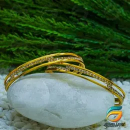 Gold Plated Guarantee Link Two Line Bangle for Women With Stone Fashion Jewelry Gift..