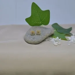 Gold pleated Stone Box Earing Set In Stud Work For Women.