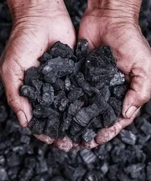 Natural coconut shell Charcoal -  300g