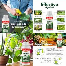 Casa De Amor Rose Care (900gm) | Water Soluble Neem Oil 250 ml | Bio NPK Granules 900 gm | Epsom Salt 900 gm | Root Care Mycorrhiza 900 gm for Organic