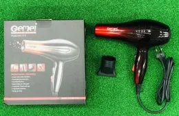 Gemei 1719 Hair Dryer