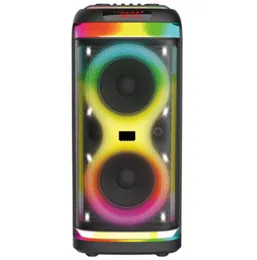 Brodu BTS-1993 Bluetooth Karaoke Speaker with Dual 8-Inch Speakers, 30W Bass, 15W Tweeter, Dual Wireless Microphones & RGB Lights