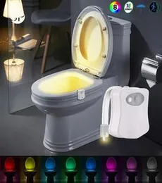 LED Toilet Induction Light Sensor