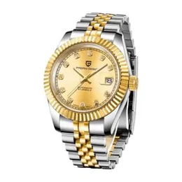 PAGANI DESIGN 1645-D  SGG