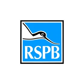 RSBP