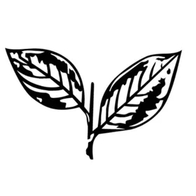 United Goans Democratic Party