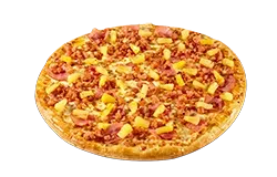 NOP Favourites - Hawaiian Large