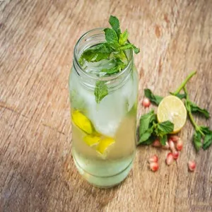 Mint Mojito