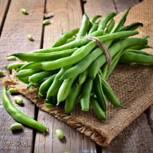 Beans