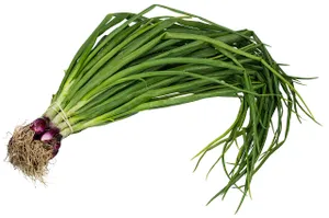 Spring Onion - 1 Bunch
