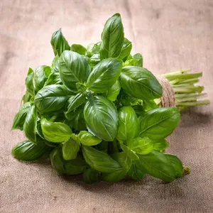 Basil Per Bunch