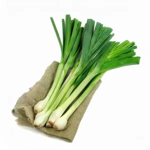 Leek Per Kg