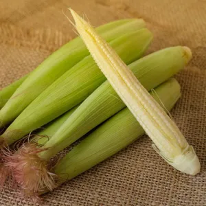 Baby Corn Per Kg