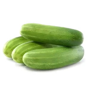 Kakadi