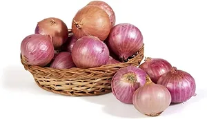 Onion
