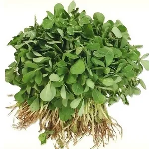 Methi - 1 Bunch