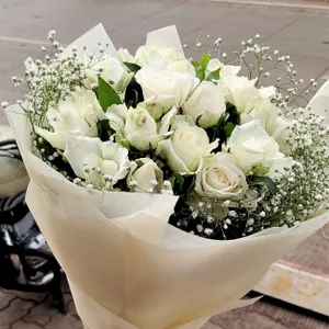 White Wonders