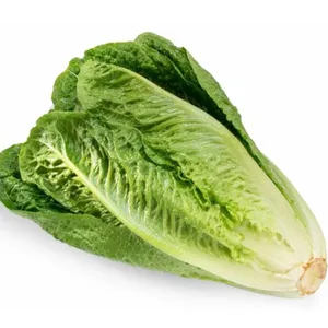 Romaine Lettuce Per Bunch