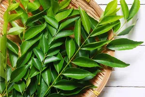 Curry Leaves (Karabev)