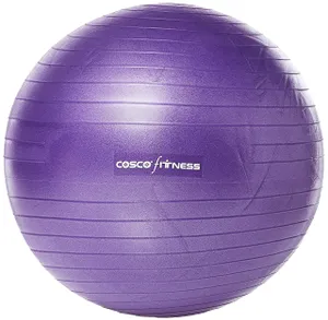 Cosco GYM Ball