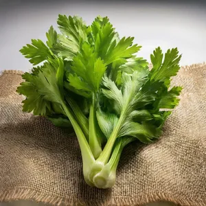 Celery Per Kg