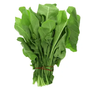 Palak - 3 Bunch