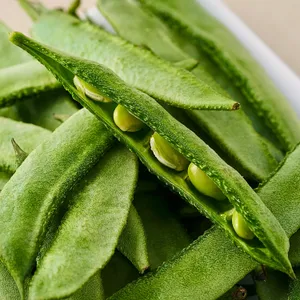 Broad Beans