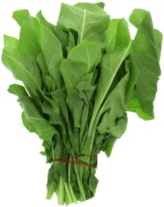 Palak - 1 Bunch