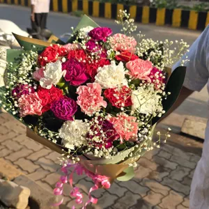 20 Colourful Carnation Bunch