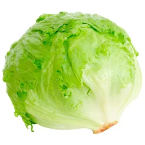 Iceberg Lettuce Per Kg