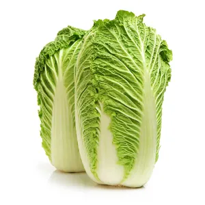 Chinese Cabbage Per Kg