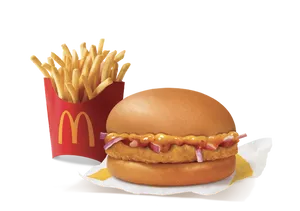 Chicken Surprise Burger + Fries (M)