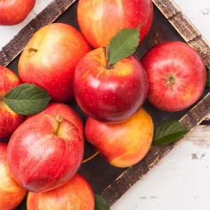 Apple Royal Gala