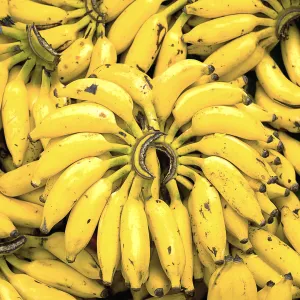 Ilachi Banana