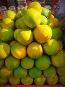 Sweet Lime (Mausambi)